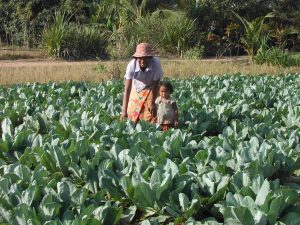 Farmer