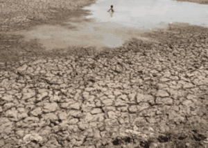 Student Blog Climate Change 1