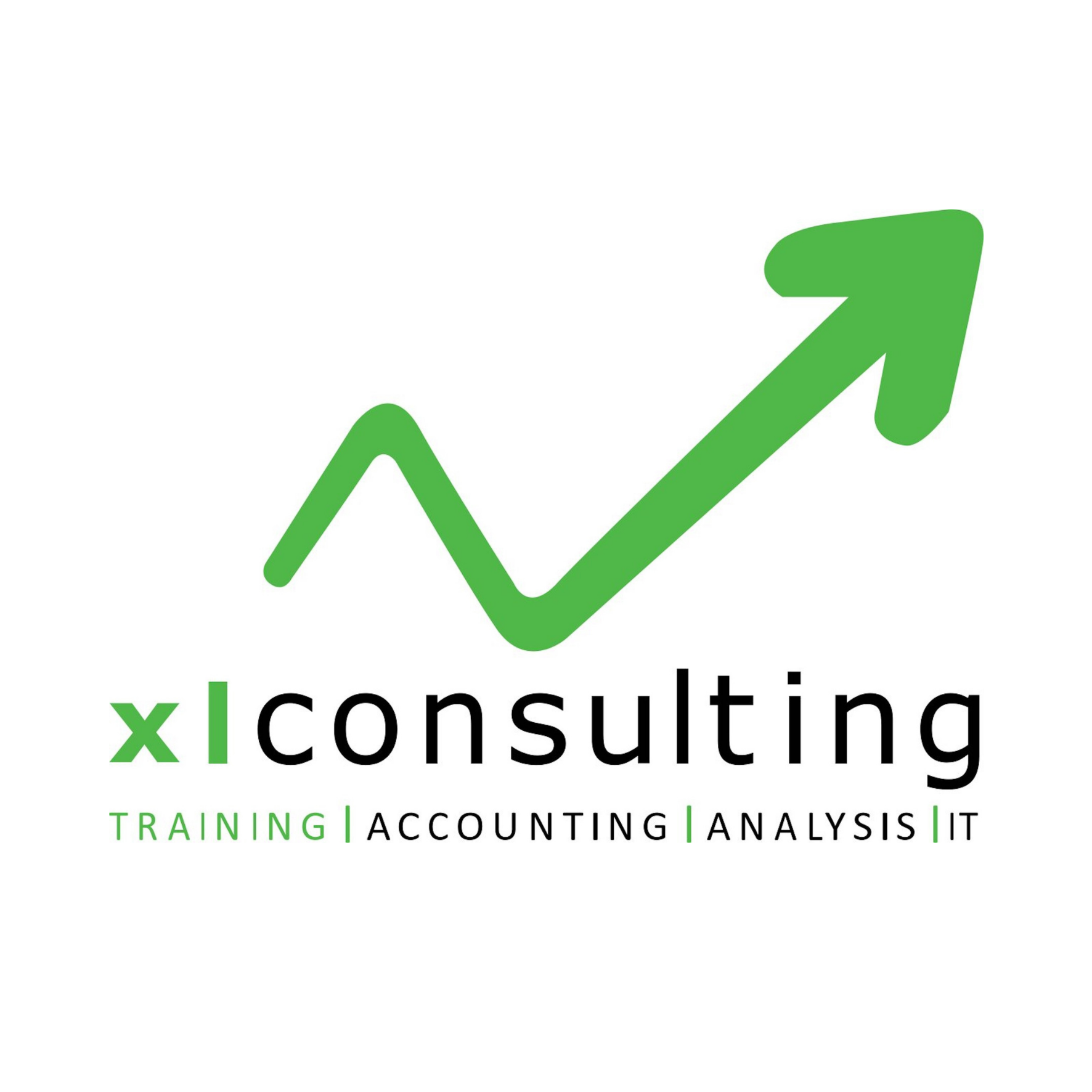 XL CONSULTING logo (15 x 15 cm)