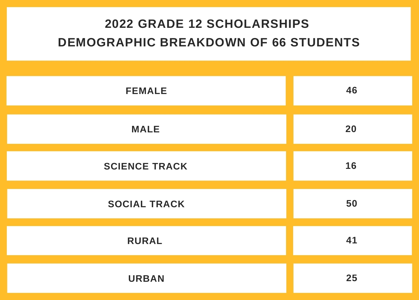 Grade 12 scholarship student demographic breakdown for 2022